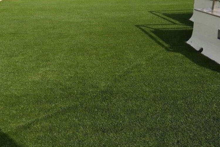 What makes Artificial Grass the Ideal Choice for Your Lawn