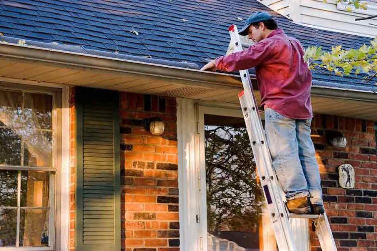 Gutter Cleaning